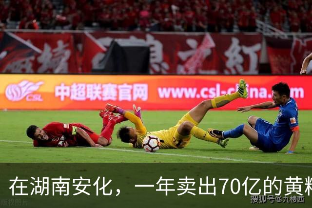在湖南安化，一年卖出70亿的黄精，到底哪些人在买