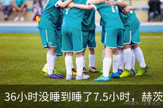 36小时没睡到睡了7.5小时，赫茨血栓风波报道一天内反转